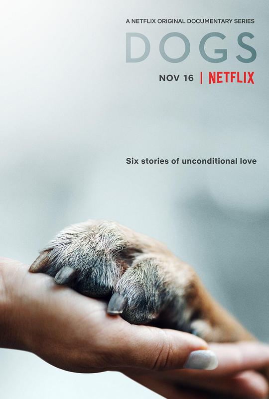 爱犬情深 第一季.Dogs.S01.2160p.HDR.Netflix.WEBRip.DDP.Atmos.5.1.x265