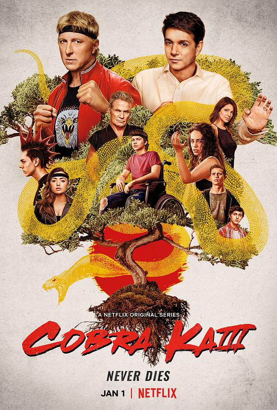 眼镜蛇 第三季.Cobra.Kai.S03.2160p.NF.WEB-DL.x265.10bit.SDR.DDP5.1