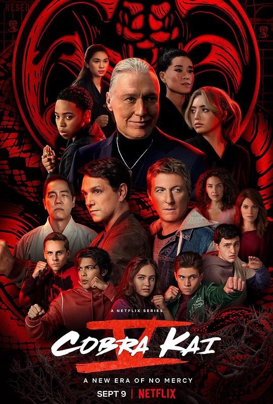 眼镜蛇 第五季.Cobra.Kai.S05.2160p.NF.WEB-DL.x265.10bit.HDR.DDP5.1