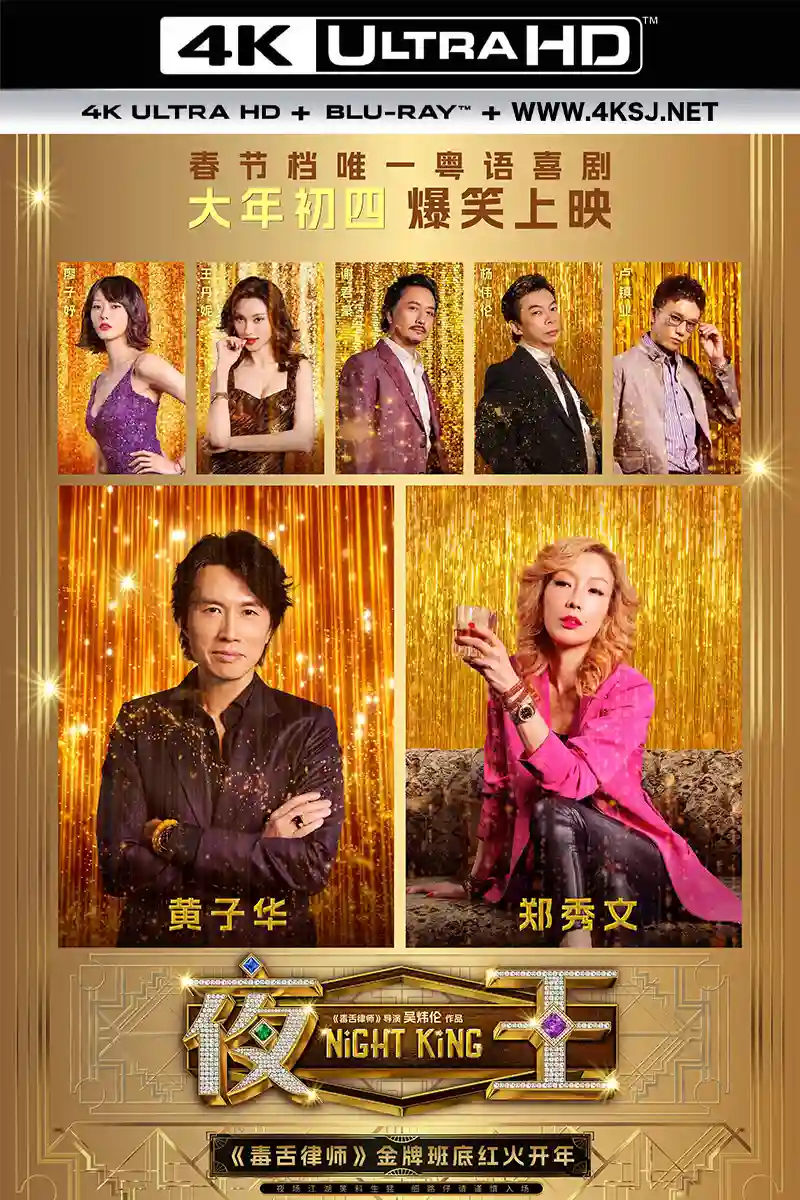 夜王 中国大陆,中国香港 2026-02-17