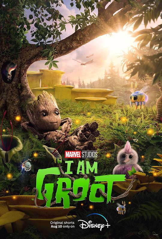 我是格鲁特 美国 2022-08-10